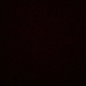 Meet your Posher, Owen